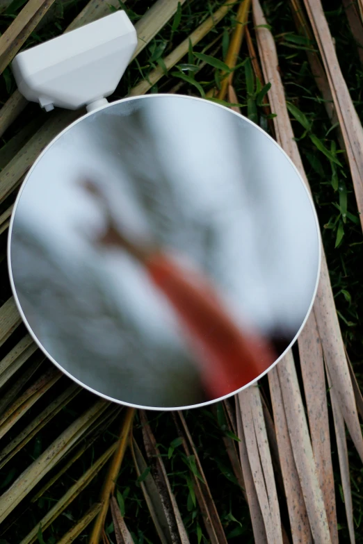 a small circular white plate on top of some bamboo