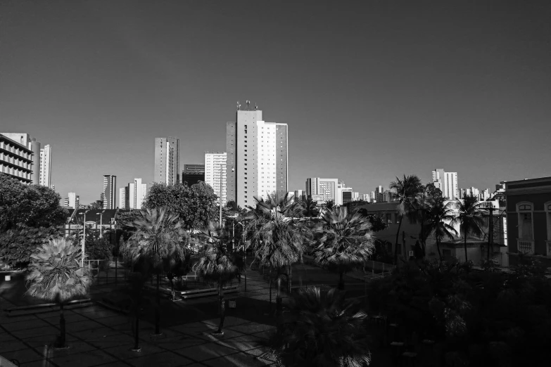 a black and white po of some buildings and trees