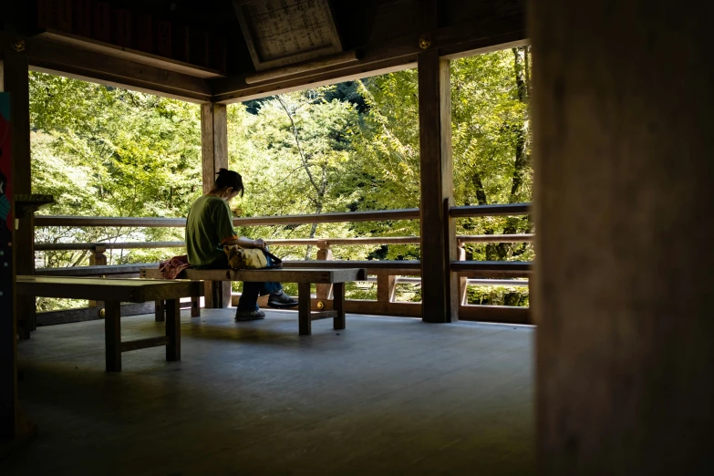 person sitting on a bench in front of the trees