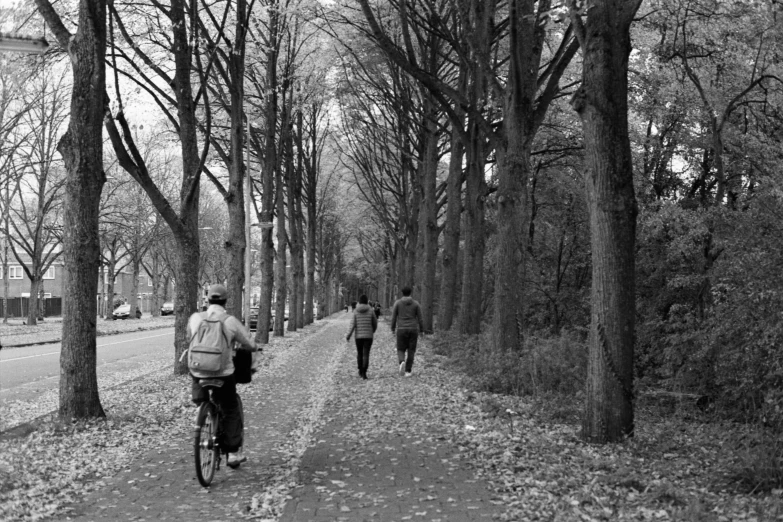 a man riding his bike down the middle of a path