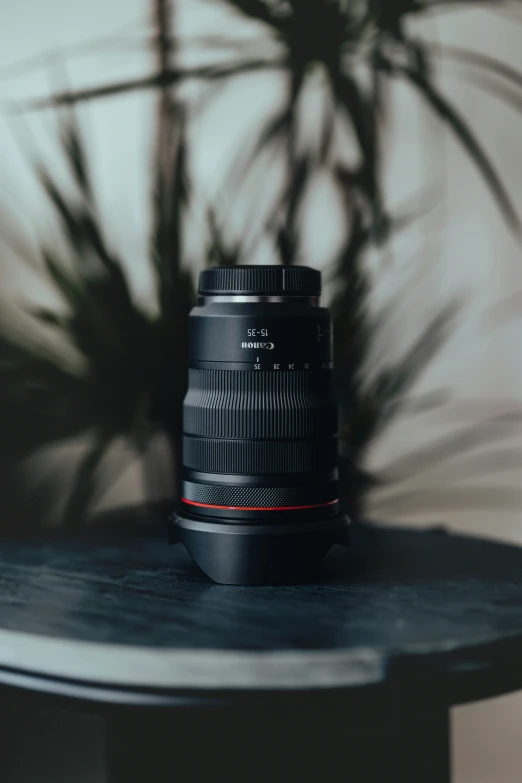 a lens sitting on a table and a plant behind it
