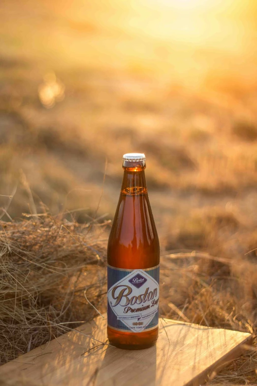 a closeup view of a bottle of beer on a log