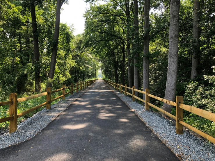 a wooden walkway lined with gravel between two trees