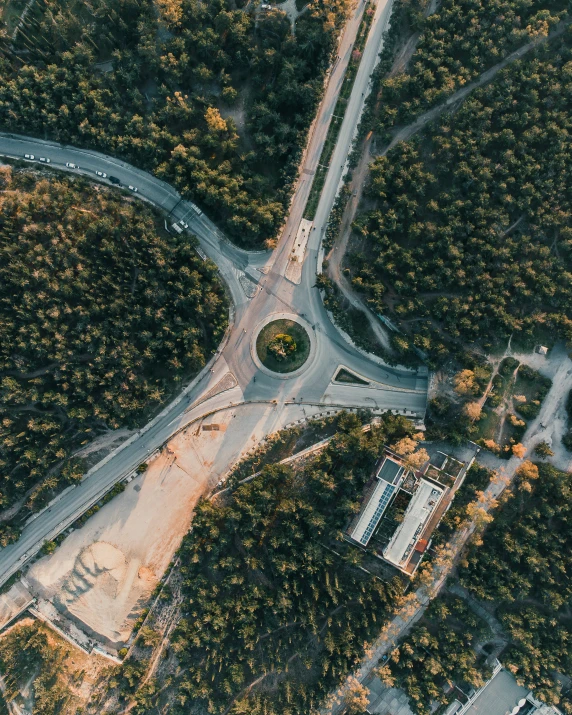 a curve in a forest filled with trees