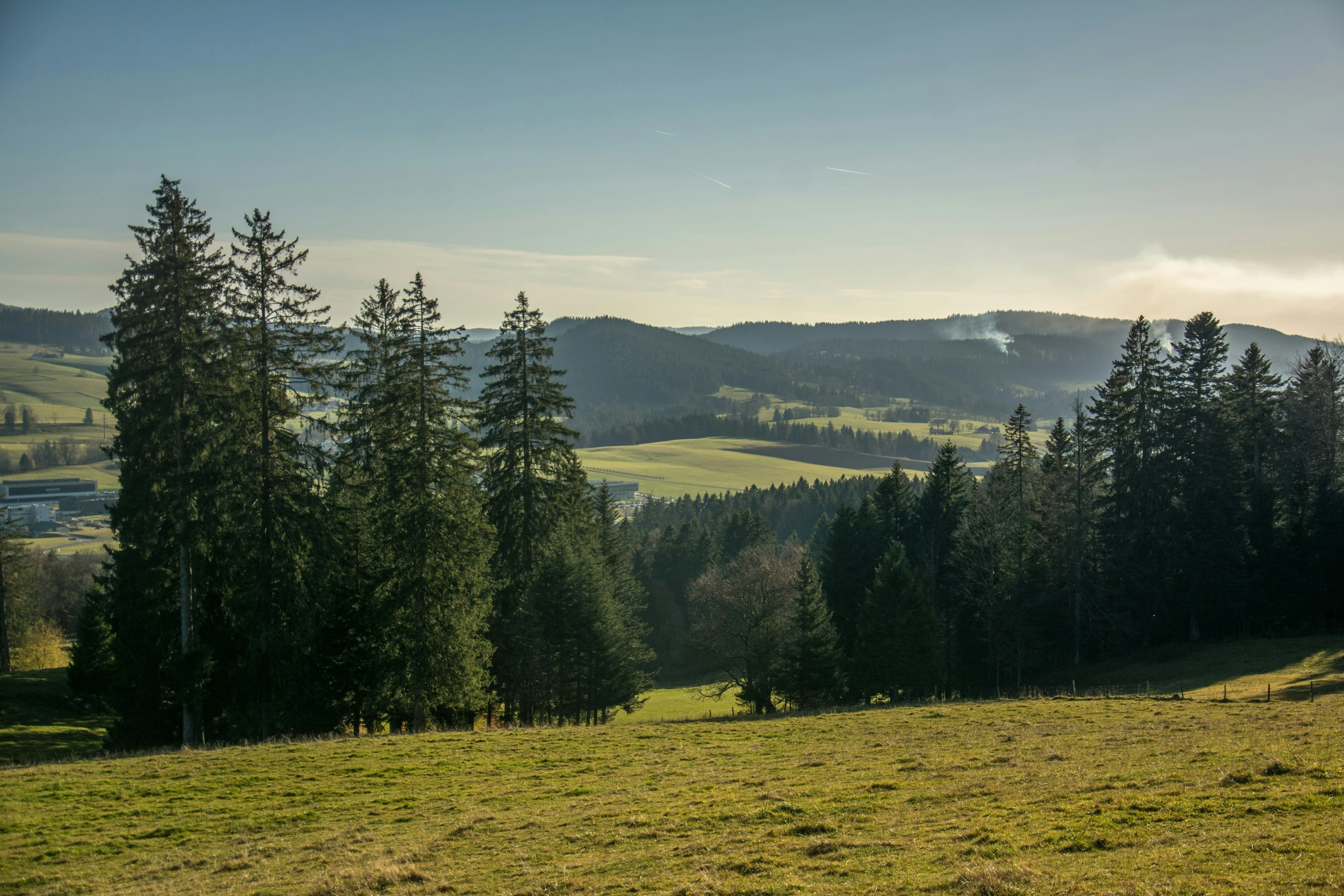 a hillside has trees on both sides of it