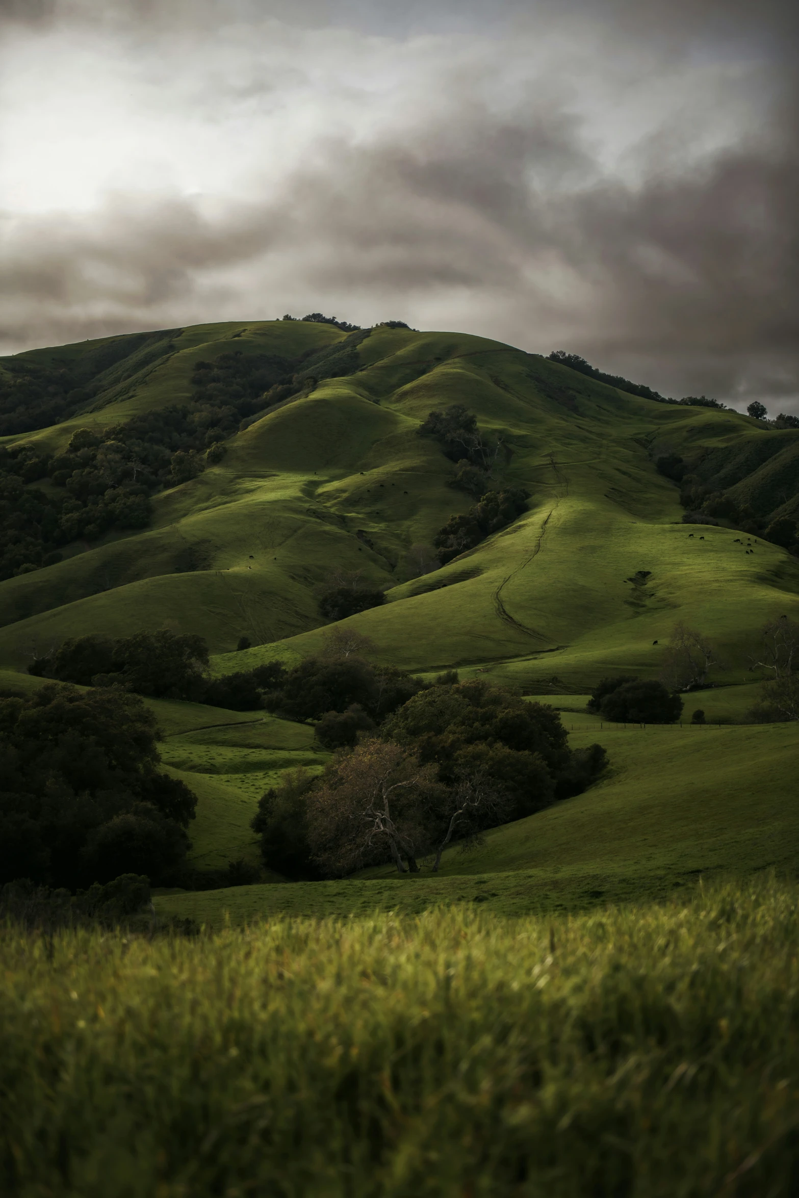 the top of the hill is filled with rolling hills