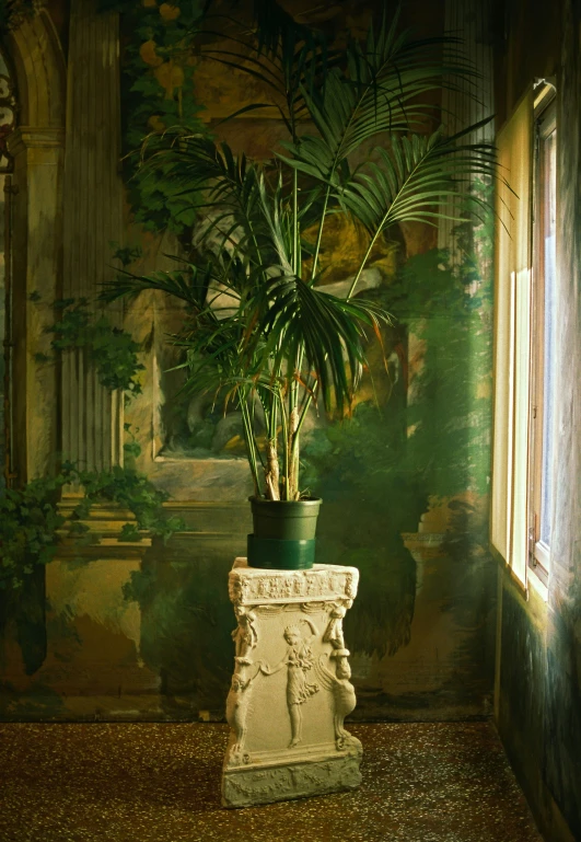 a large potted plant sitting in the corner of a room