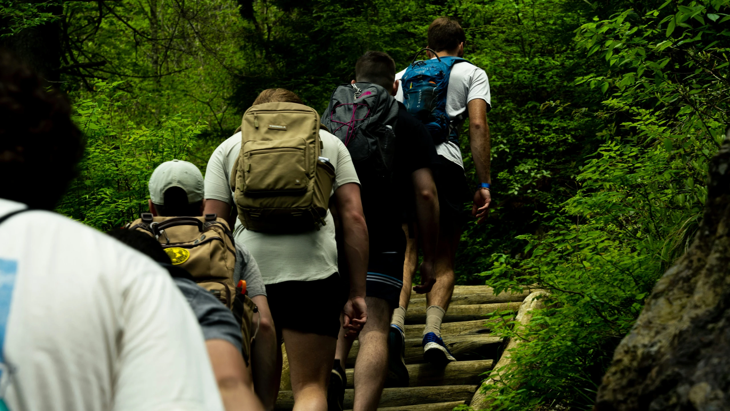 a group of men walking up some wooden stairs