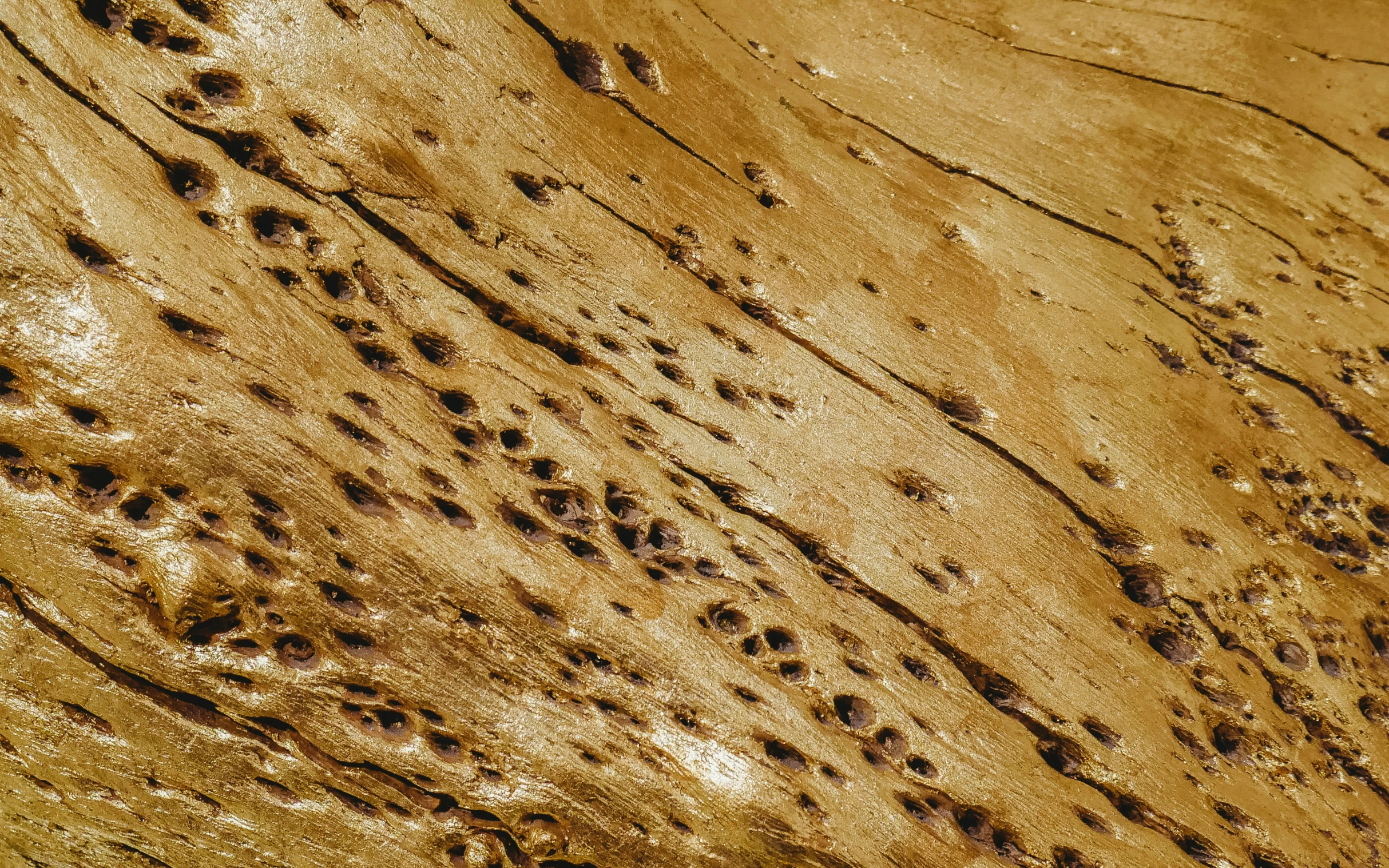 the patterns in sand can be seen along with their texture