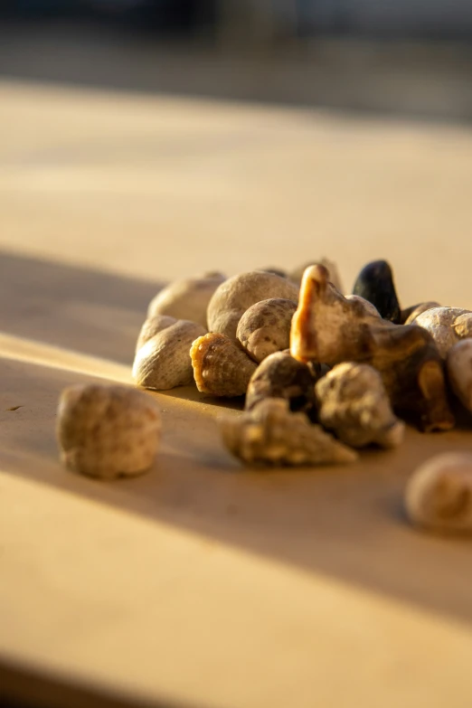 some rocks on top of a wooden table