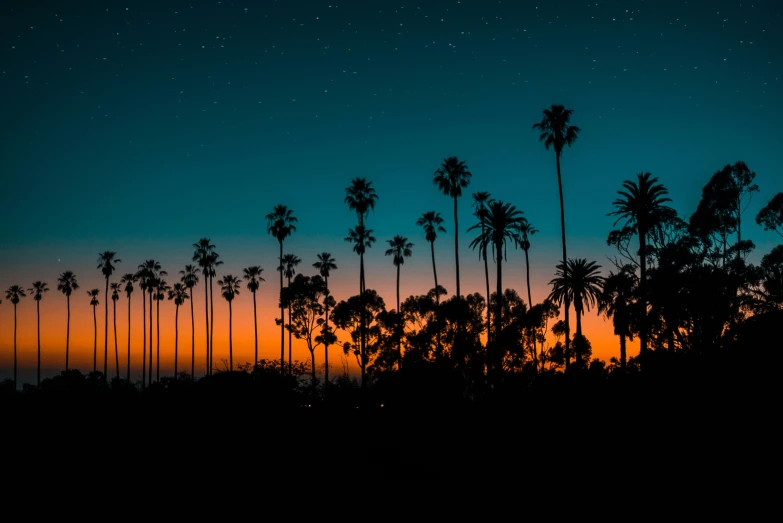 a sunset is reflected on the silhouettes of palm trees