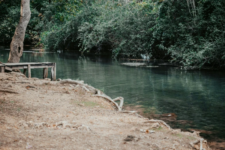 a bench and water in front of trees