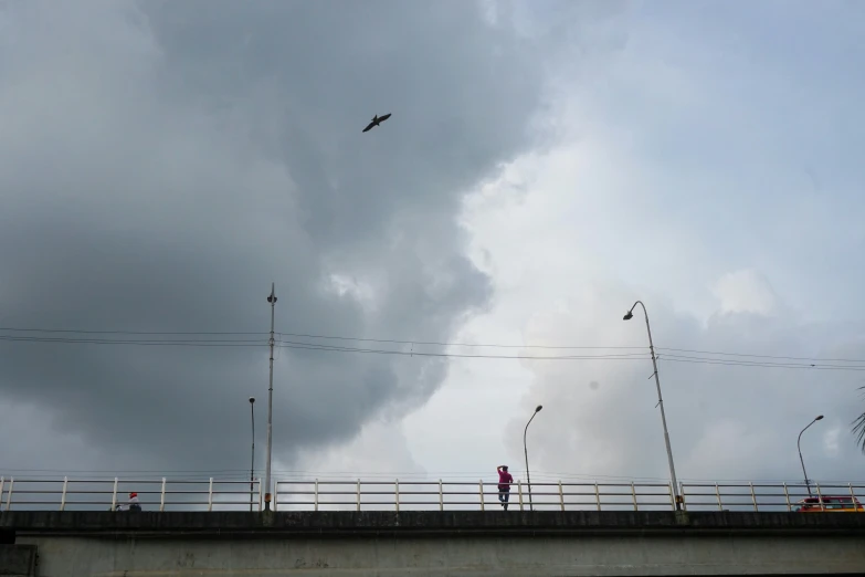 the bird is flying over a bridge while it's raining