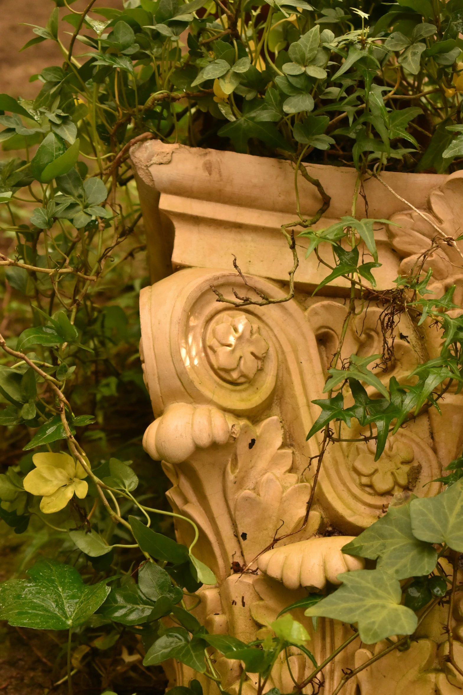 a close up of a decorative vase in the bushes