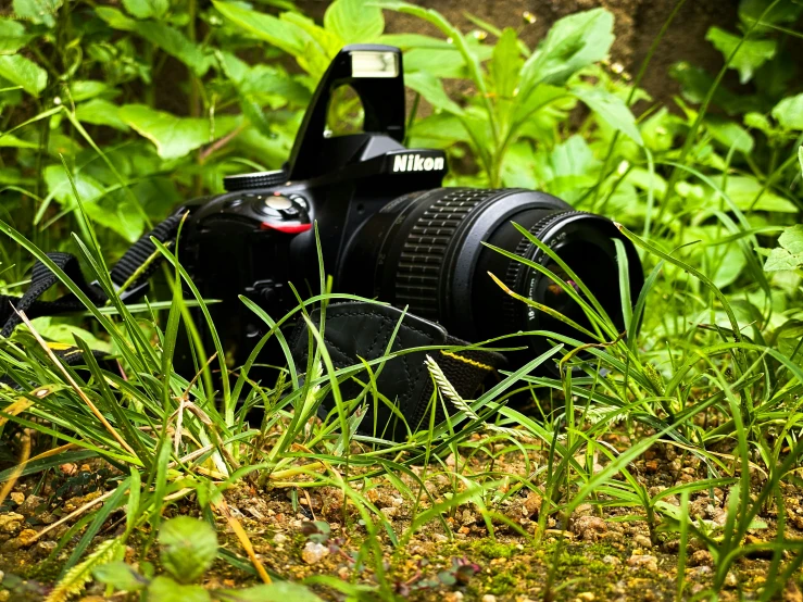 a camera is pictured sitting on the ground in the weeds