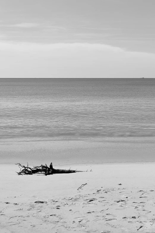 two men are walking on the beach near the ocean