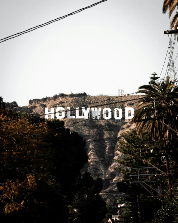 the hollywood sign is surrounded by palm trees