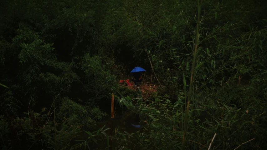 an outhouse in the dark surrounded by green plants