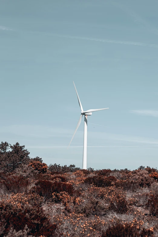 a wind turbine on top of a dry hillside