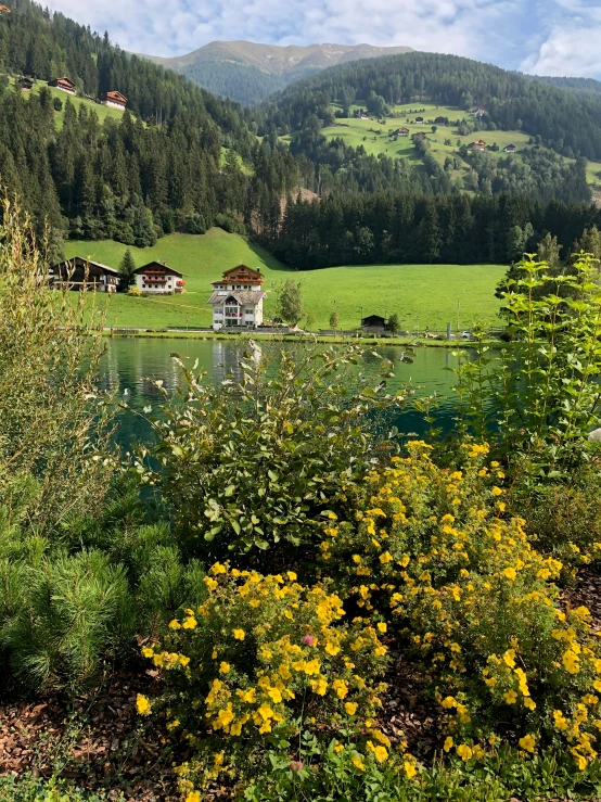 a beautiful green meadow surrounded by lush green hills