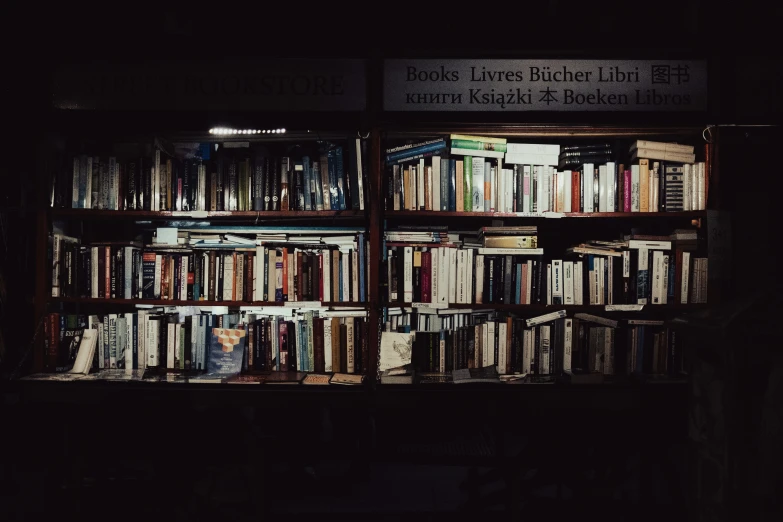 the dark book shelf has books in it