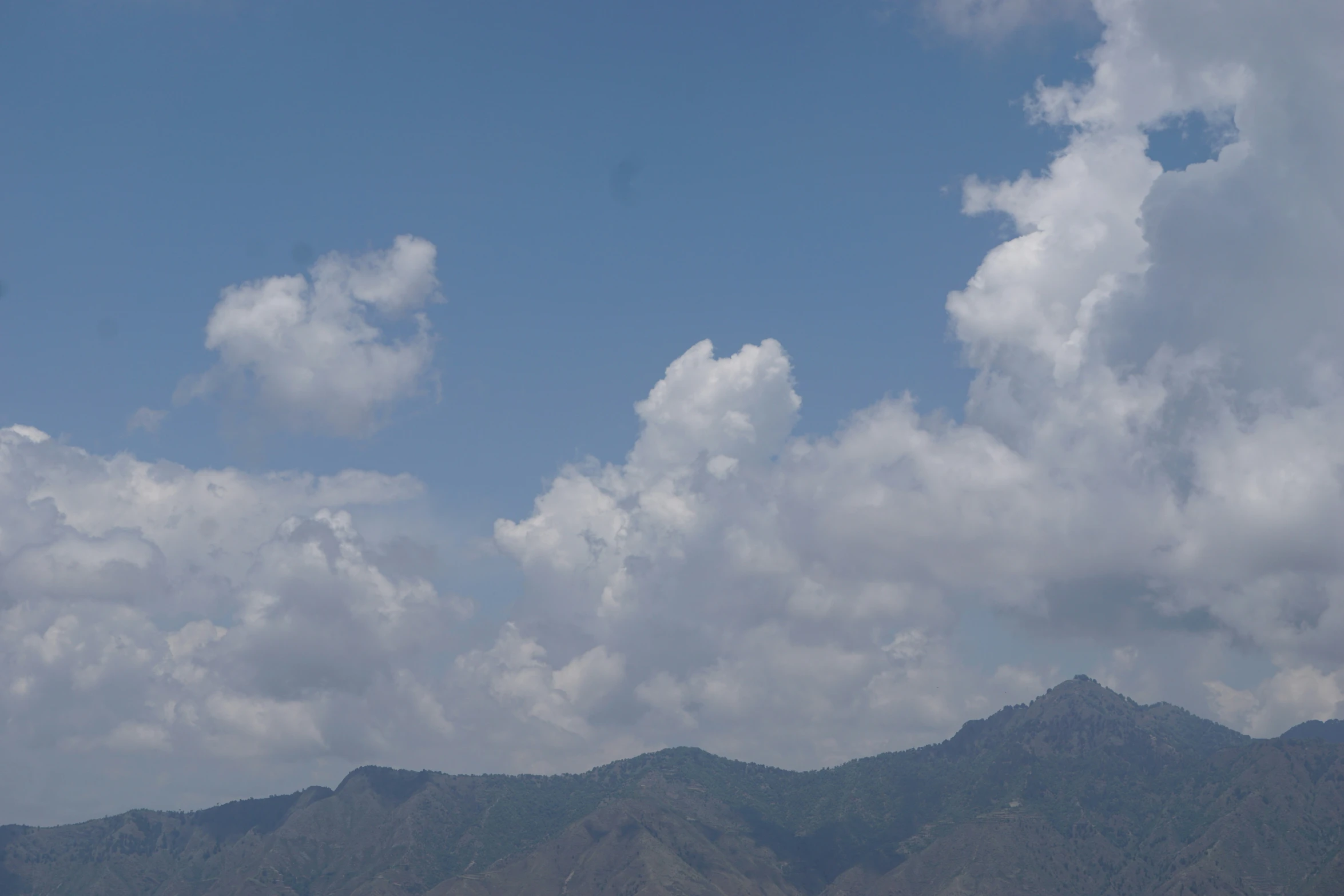 a large plane flying over a lush green landscape