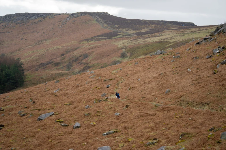 a person standing in a field with grass and rocks