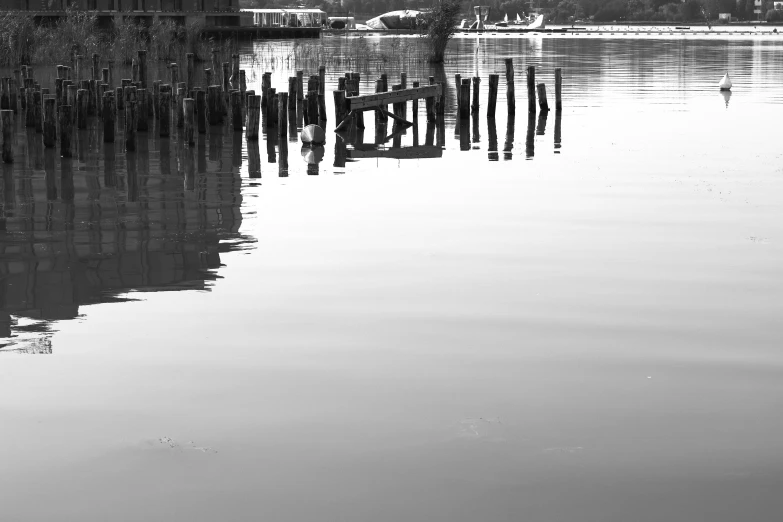 a black and white po of a body of water