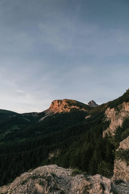 a rocky hillside with some trees on it