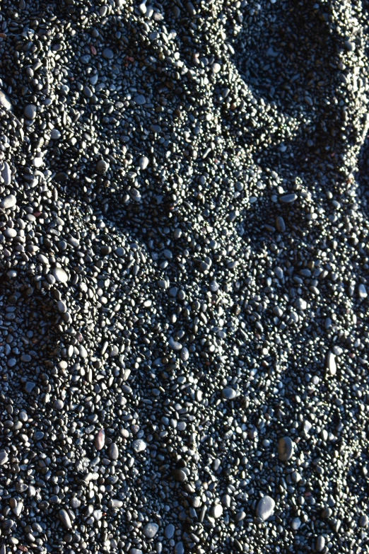 there are pebbles and some plants on the beach