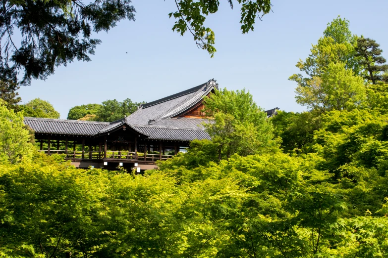 green trees and tall building behind a forest