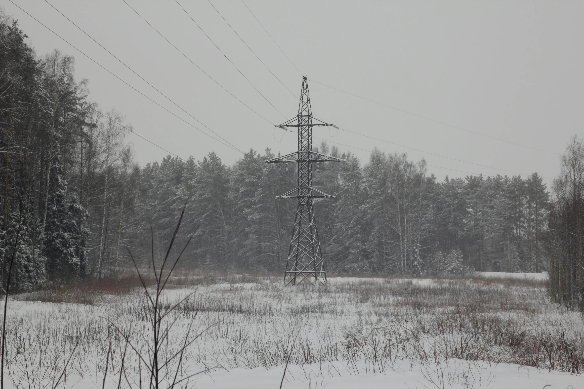 a power tower in a snowy forest setting