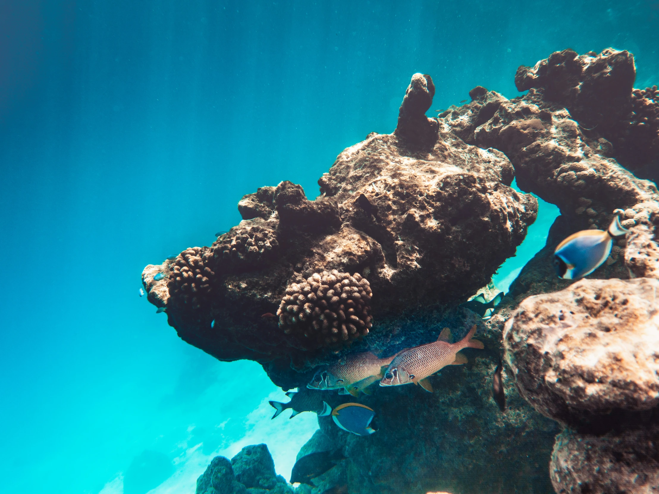 some very pretty blue water and some very big rocks