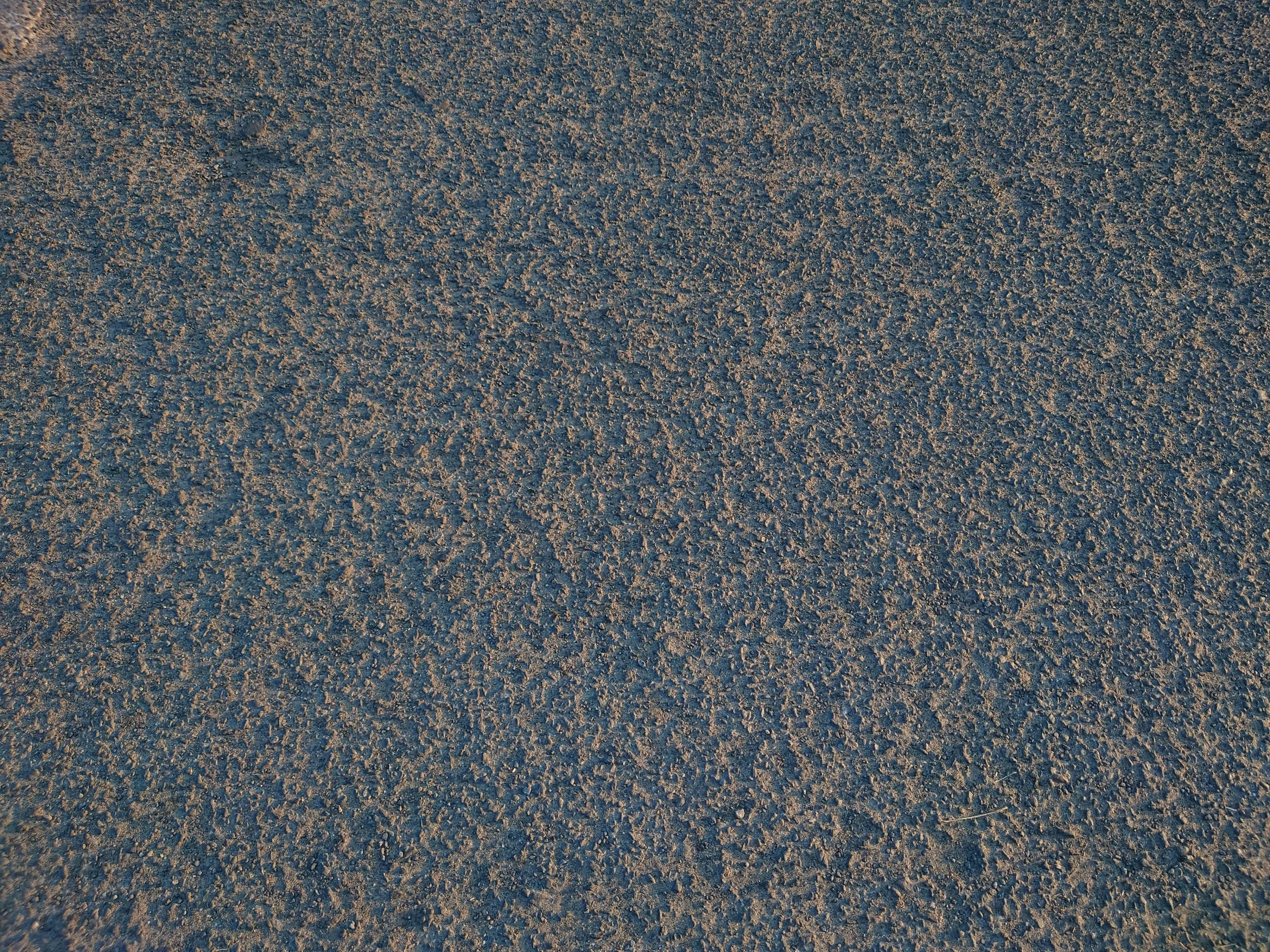 an image of textured blue carpet with a pattern on it