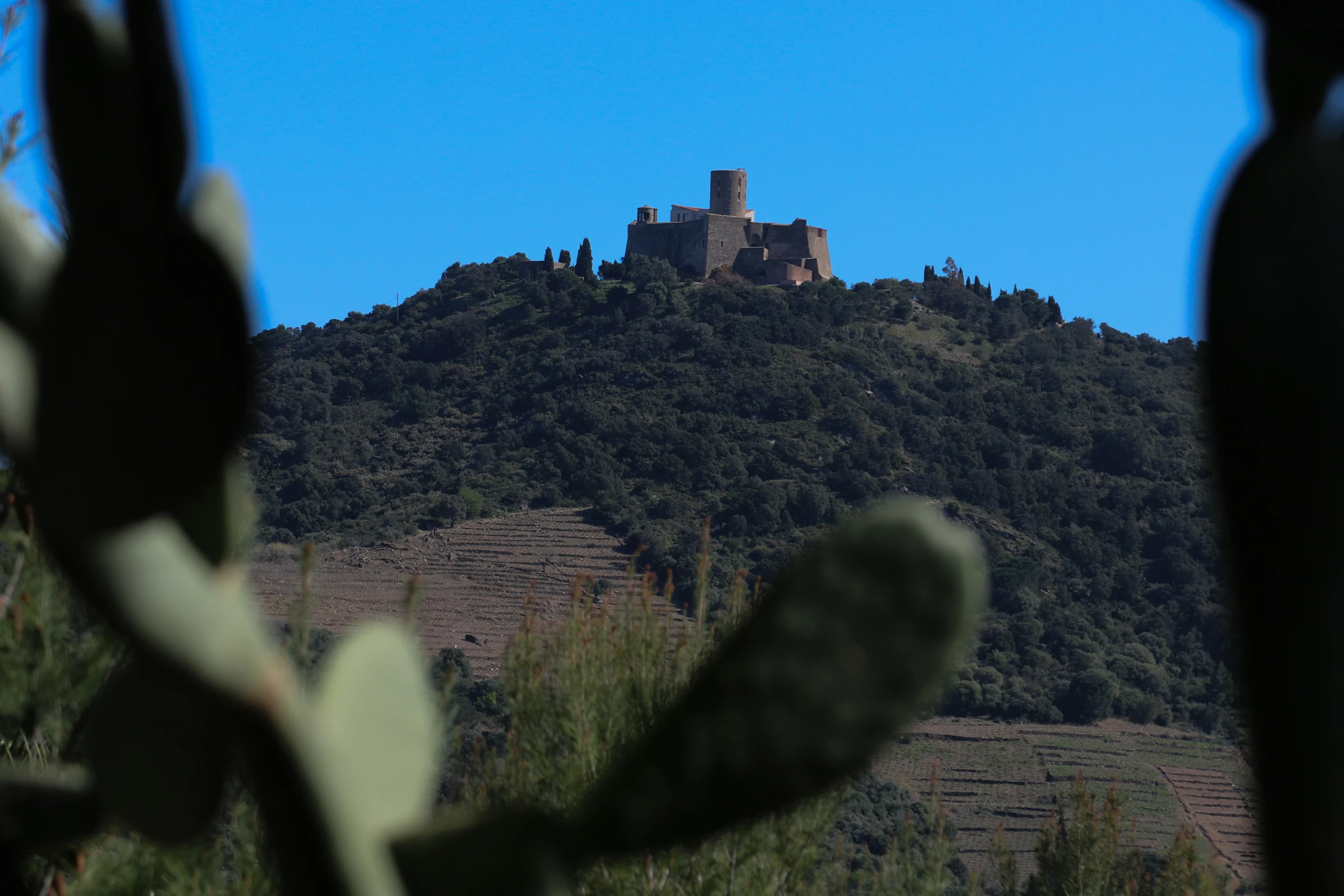 the view of a castle sitting on top of a hill