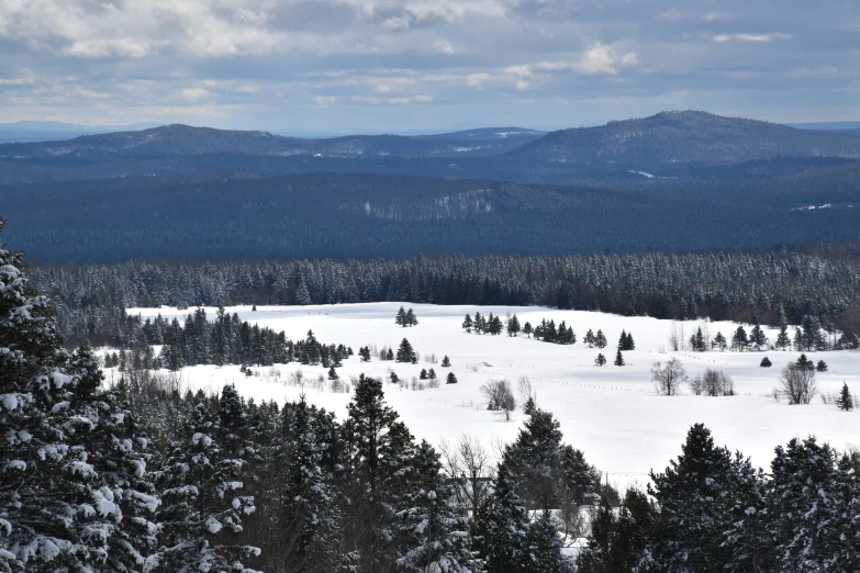 a snow covered forest filled with evergreen trees and a sky full of clouds