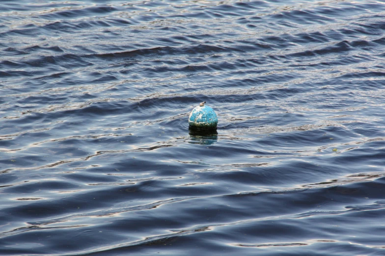 a plastic bottle floating in the water