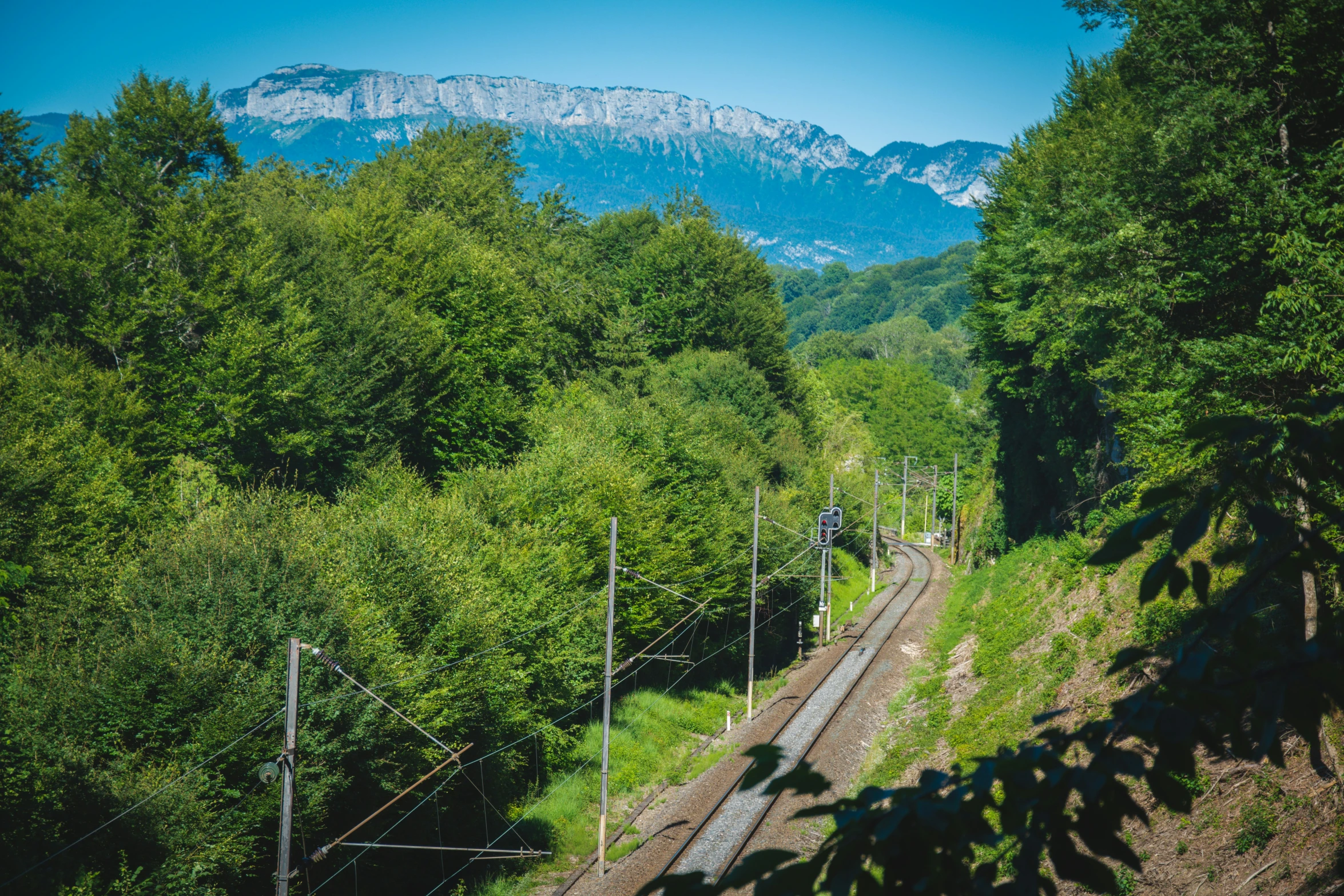 a train traveling through the woods, with a mountain in the background