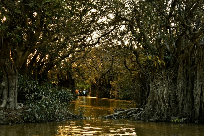 a boat floats on a river with trees surrounding