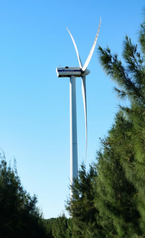 there are a few green trees around the huge tower