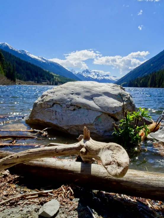 a rock sitting on top of a rocky river