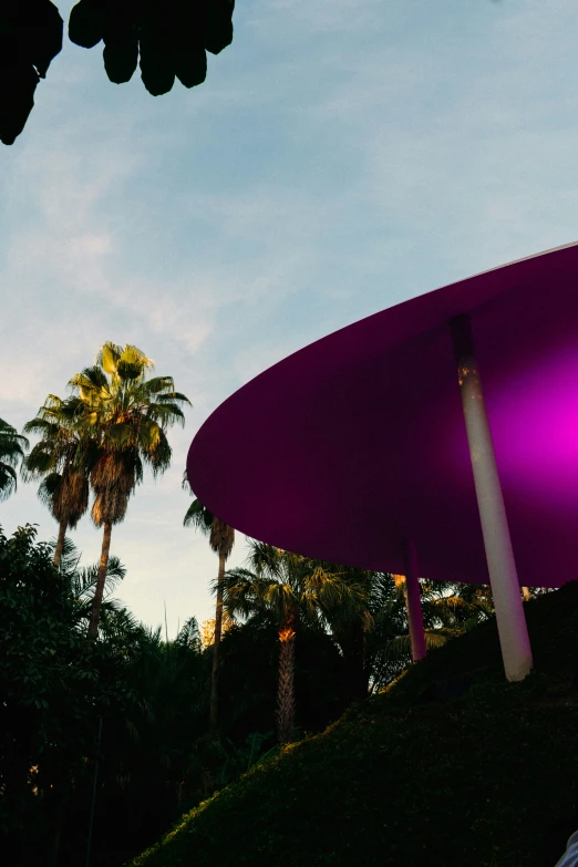 purple umbrella near some trees and buildings