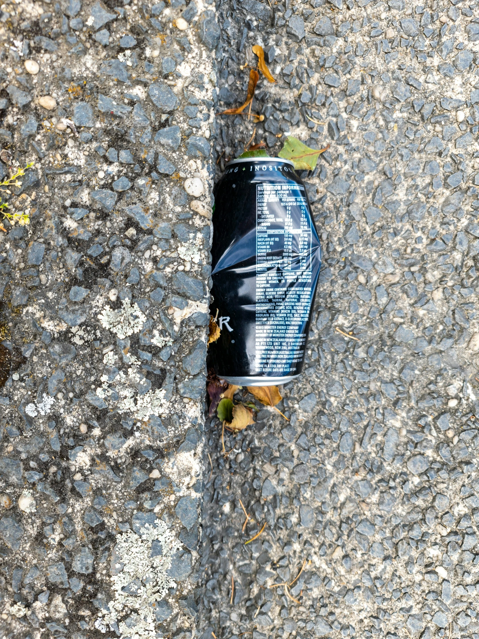 an empty phone sits on the ground with an autumn leaf