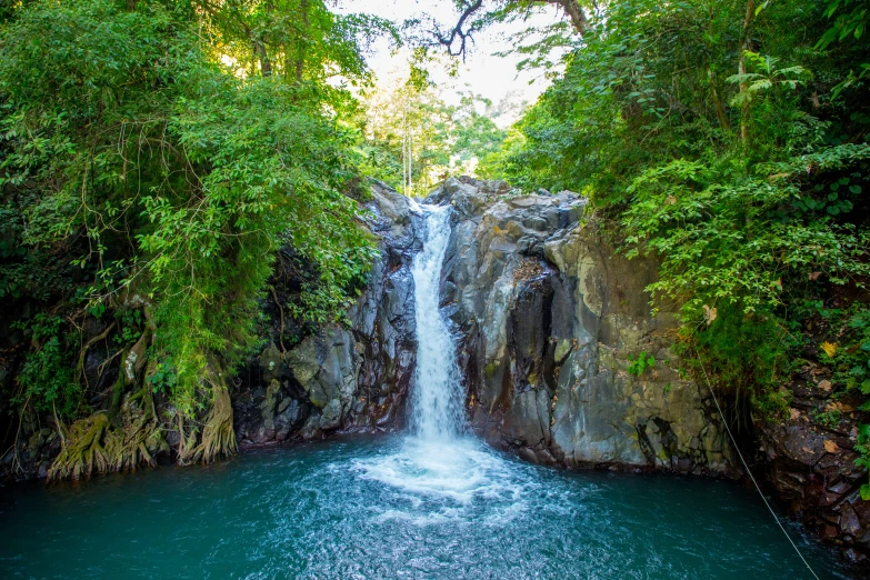 a waterfall surrounded by lush green trees and rocks