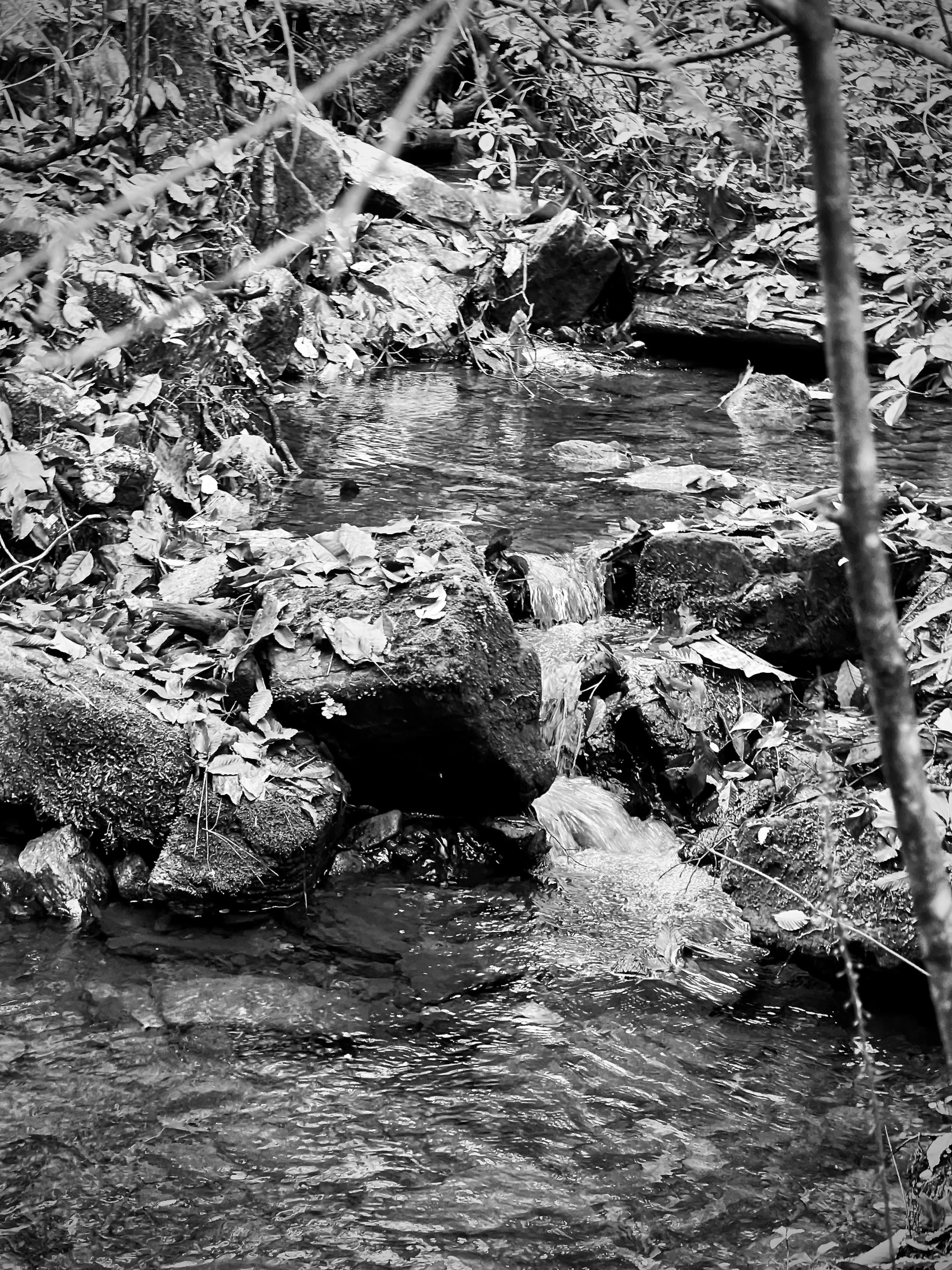 a black and white po of a stream with rocks