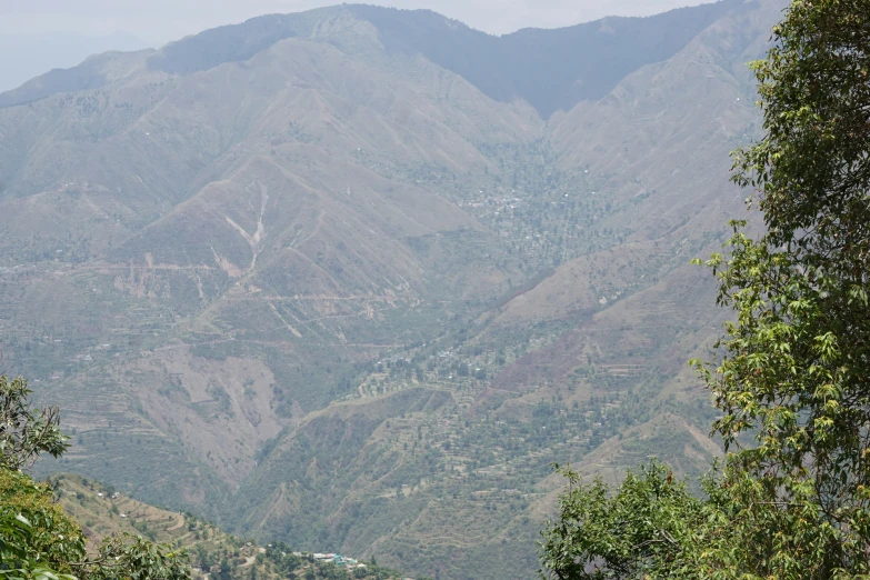 trees and bushes are seen in this mountainous area