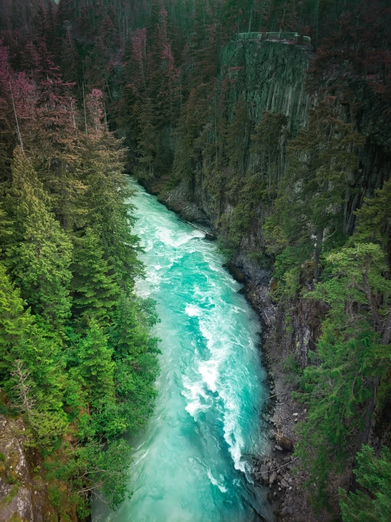 a river surrounded by trees and water near a forest