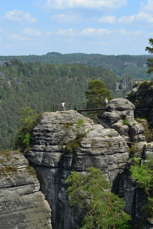 the people are standing on the small rope bridge