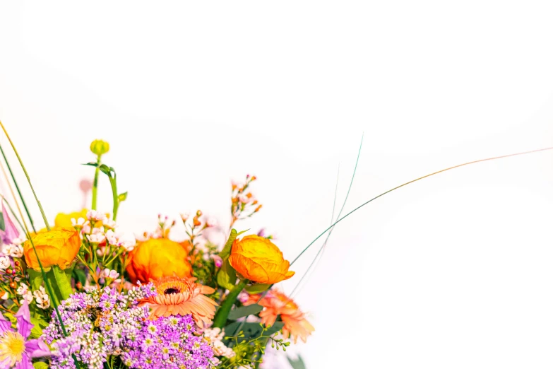 an arrangement of wildflowers and other greenery on a white background