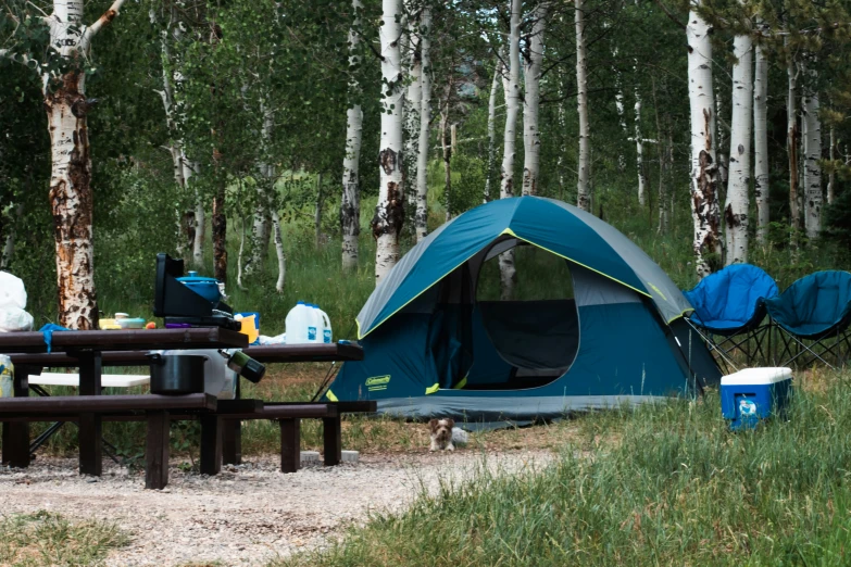 a tent pitched up to an outside picnic table